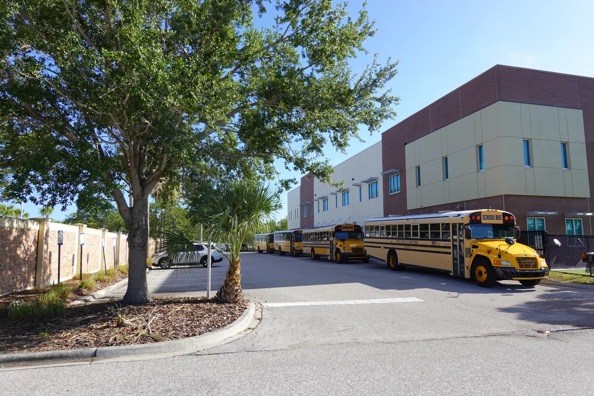 The Palmer Ranch campus, with school buses at the building